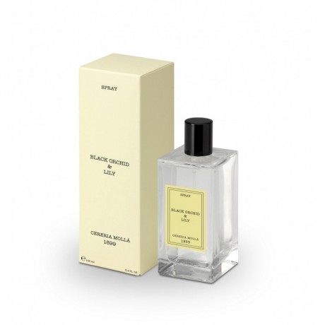 BOUTIQUE Black Orchid & Lily